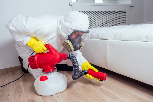 Reliable Purvis, MS Pest Control Solutions