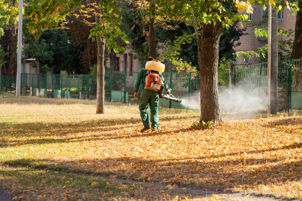Best Termite Control Services  in Purvis, MS